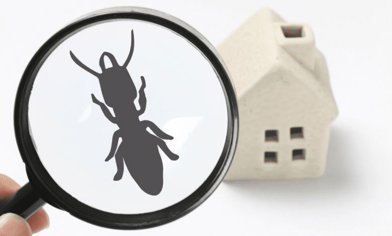 10 Tips About Pest Control From The Experts