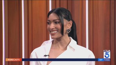 Supermodel Pritika Swarup shares purple carpet magnificence must-haves
