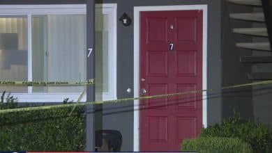 Our bodies of mom, son present in Santa Rosa dwelling – KTVU FOX 2 San Francisco