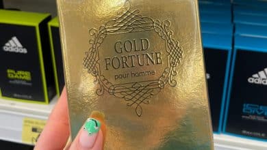 I saved £199 thanks to 6 magnificence dupes from B&M