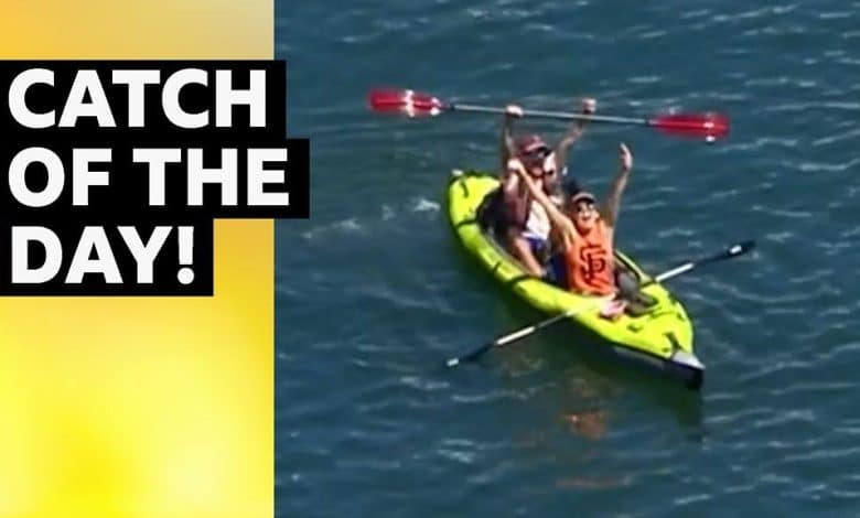 MLB: San Francisco Giants' Patrick Bailey hits dwelling run into kayak – BBC.com