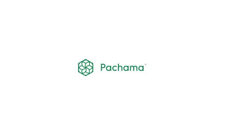 Pachama Will get Backing from Shopify to Pioneer Groundbreaking Reforestation Initiative in Brazil’s Atlantic Forest