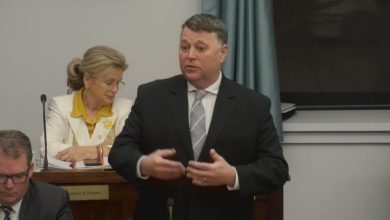 P.E.I. premier desires Ottawa to accomplice with province on dental, faculty meals applications