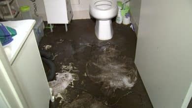 Sewage floods San Francisco complicated, forcing Dealer Joe’s to shut, aged man to vacate