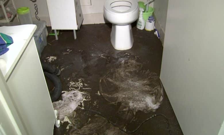 Sewage floods San Francisco complicated, forcing Dealer Joe’s to shut, aged man to vacate