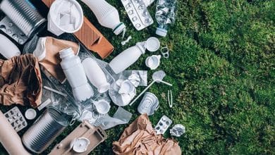 Sephora’s Take-Again Program Repurposes Magnificence Merchandise To Reduce Waste