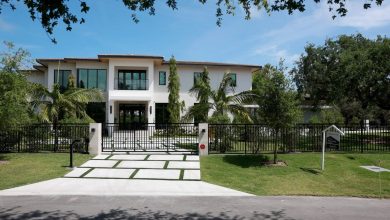 Luxurious residence costs attain file in 2024