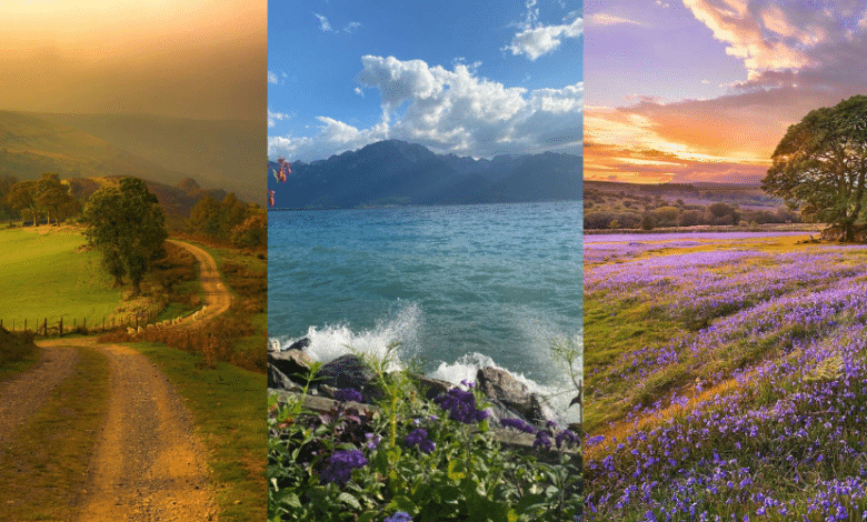 3 Efficient Methods To Be Sustainable With Magnificence