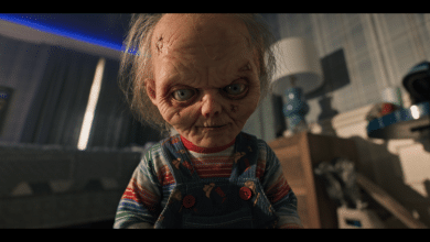 CHUCKY Is Hawking Magnificence Merchandise And We’re Shopping for