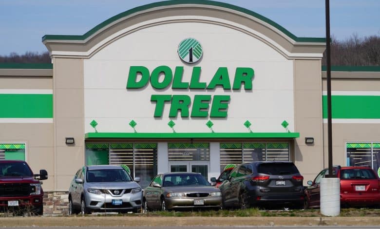 16 New Magnificence Merchandise at Greenback Tree — Finest Life