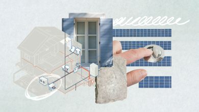 Eco Houses: 8 of the Most Sustainable Options to Take into account, In line with Specialists