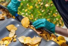 How A lot Does Gutter Cleansing Price In 2024? – Forbes Dwelling