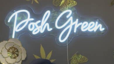 Black-owned San Francisco hashish enterprise susceptible to closing
