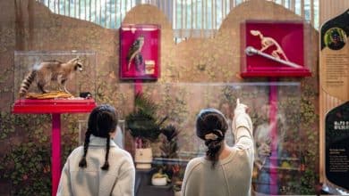Cal Academy Opens New Exhibit Highlighting California’s Pure Magnificence
