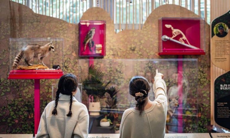 Cal Academy Opens New Exhibit Highlighting California’s Pure Magnificence