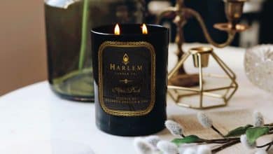 9 Magnificence Merchandise to Give You Jazz Membership Vibes