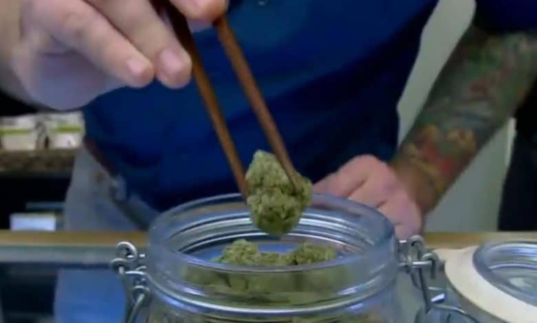 Proposed federal marijuana modifications may reshape the hashish trade