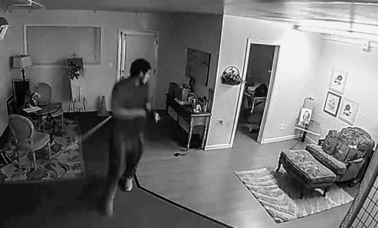 Thieves steal cremated pets ashes from Walnut Creek enterprise