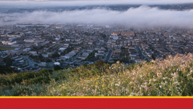 South San Francisco Police Division launches Neighborhood Digital camera Help Program