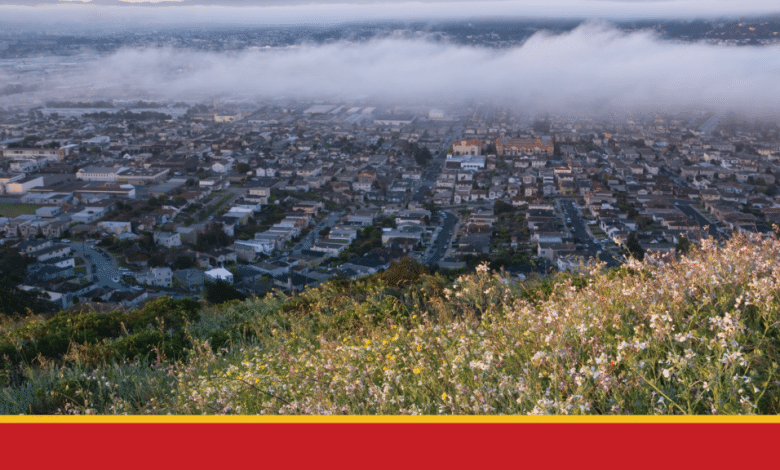 South San Francisco Police Division launches Neighborhood Digital camera Help Program
