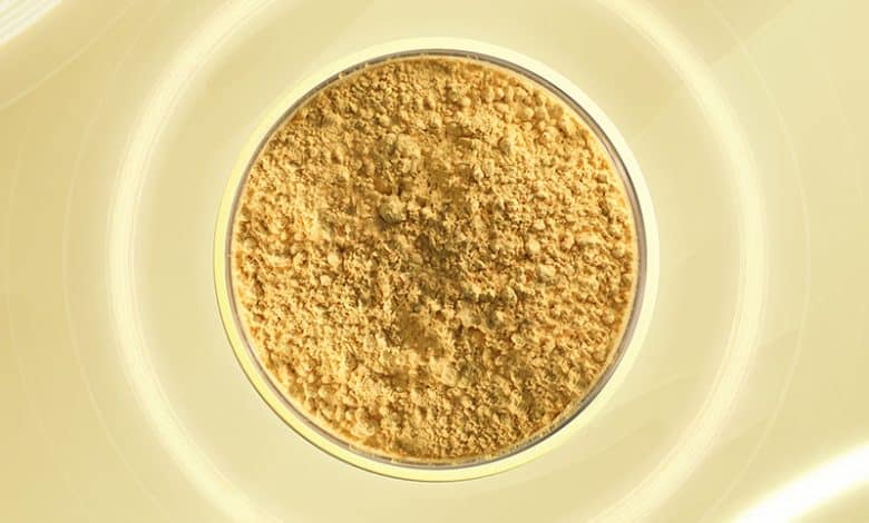 Givaudan Energetic Magnificence tackles OxInflammation to uphold pores and skin well being with Silybidiol