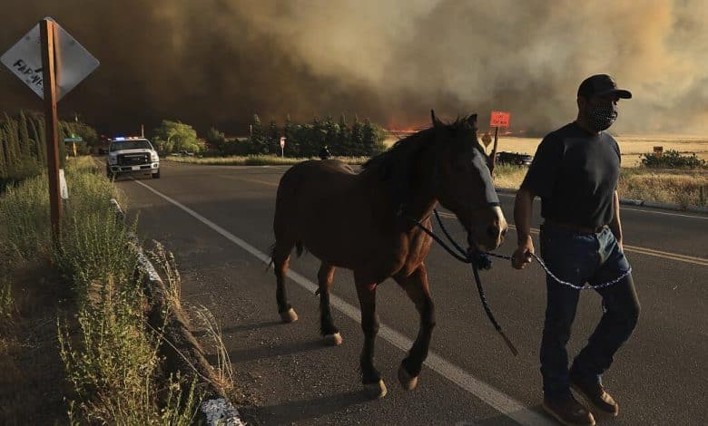 Corral hearth injures two firefighters and destroys one dwelling