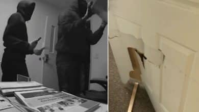 ‘It is lawless’: 16 Oakland small companies ransacked close to Hegenberger hall
