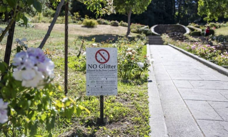 Heading to Morcom Rose Backyard? Higher Go away Your Glitter at House