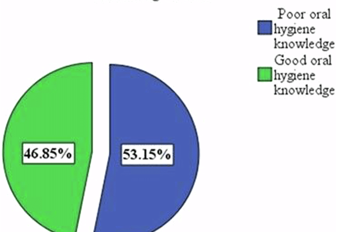 Affiliation between oral hygiene information and practices amongst older dental sufferers attending non-public dental clinics in Addis Ababa, Ethiopia