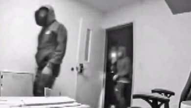 Burglars ransack 16 Oakland companies positioned in Hegenberger Hall