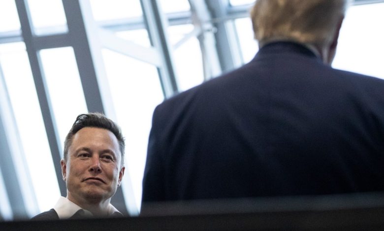A operating listing of Silicon Valley figures which have gone full MAGA